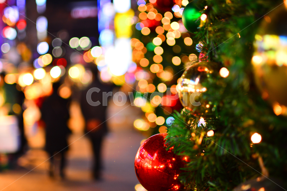 크리스마스,성탄절,보케,트리,야경,xmas,성탄볼,년말,장식,데코레이션,볼,화려한,중심가,밤거리,시내,12월,tree,merrychristmas,decoration,배경,바탕,백그라운드,background,조명,불빛,빛망울,칼라풀,colorful,연인,거리,사람들,겨울,계절,winter,season,야경,밤,풍경,nightscape,night,landscape,기념일,축하,anniversary,congratulation,celebrate,celebration,메리크리스마스,성탄절,merry christmas,christmas tree,크리스마스 트리,나무,ornament,plant,식물,lighting