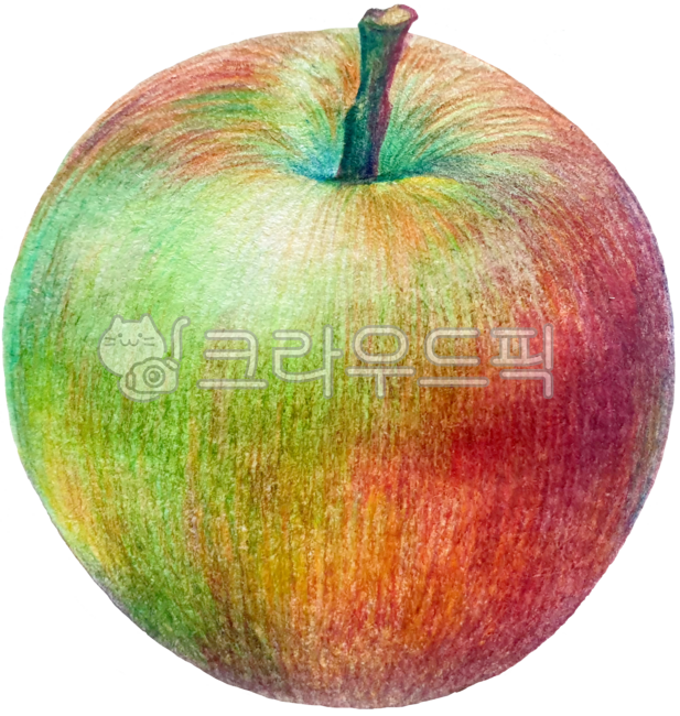 사과,사과그림,색연필그림,apple,appledrawing,colorpencilapple,과일,fruit