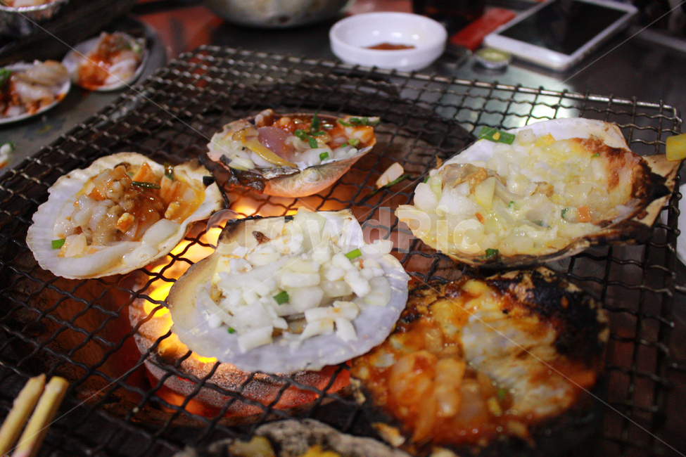 음식,조개구이,불판,부산,연탄불