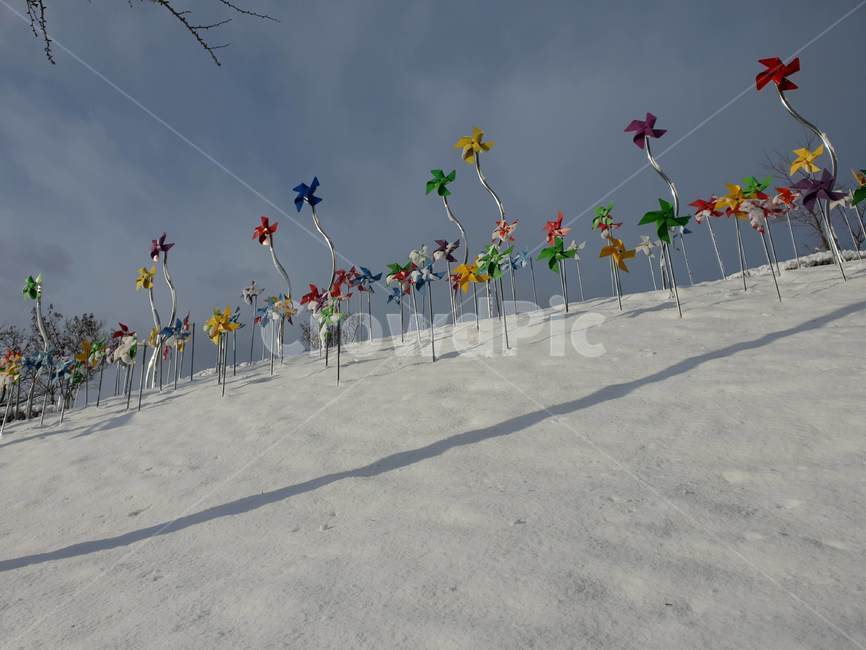 바람개비,겨울,해질무렵,해질녘,바람,개비,winter