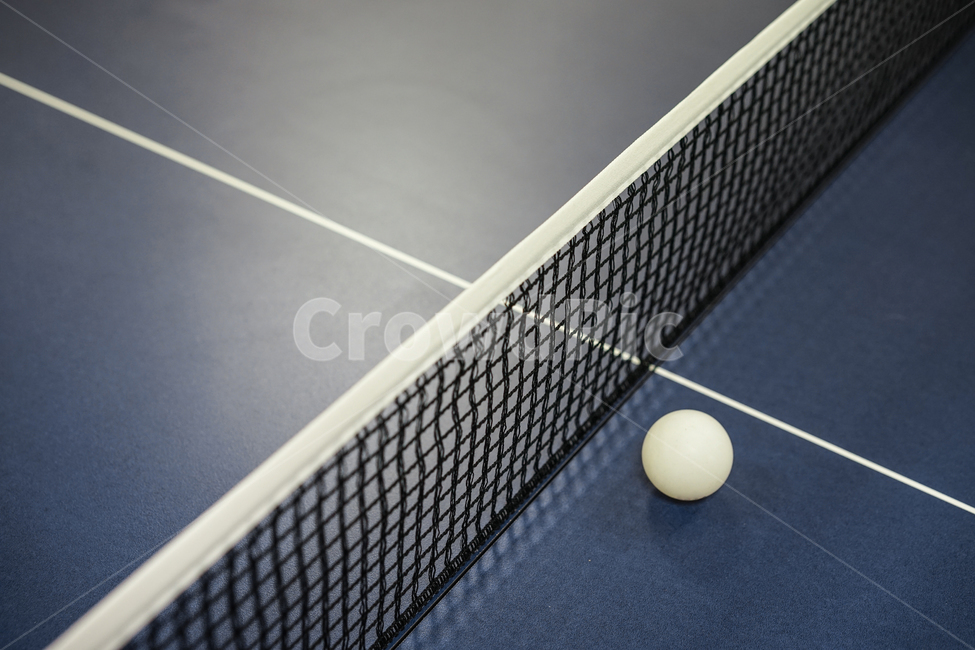 탁구,탁구공,네트,그물망,탁구대,tabletennis,스포츠,sport,스포츠,레저,운동,sports,leisure,exercise,사물,물건,오브젝트,thing,object,matter