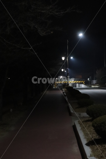 밤,달,야경,도시,경치,풍경,도로,야경,밤,풍경,nightscape,night,landscape,asphalt,아스팔트,road