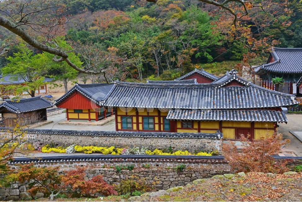 해남,대흥사,두륜산,해남대흥사,사찰,절,불교,유적지,문화재,단풍,가을,대흥사가을,추색,만추,낙옆
