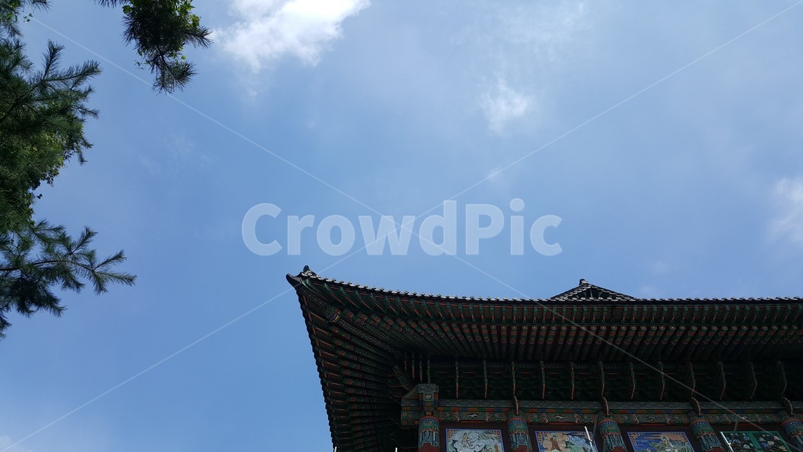 절,사찰,가을,하늘,전통사찰,건물,초가을,늦은여름,처마,단청,한국전통건축,기와,비구니,도량,종교,불교,기와지붕,전통건축,기와집,지붕,전통,한옥,패턴,배경,전통적인,한국의,construction,한국전통,한국문화,koreantraditional,koreanculture,건축물,건물외관,exterior,building,structure,architecture,배경사진,한국전통,한국문화,korean traditional,korean culture,건축물,건물외관,exterior,building,structure,architecture,construction