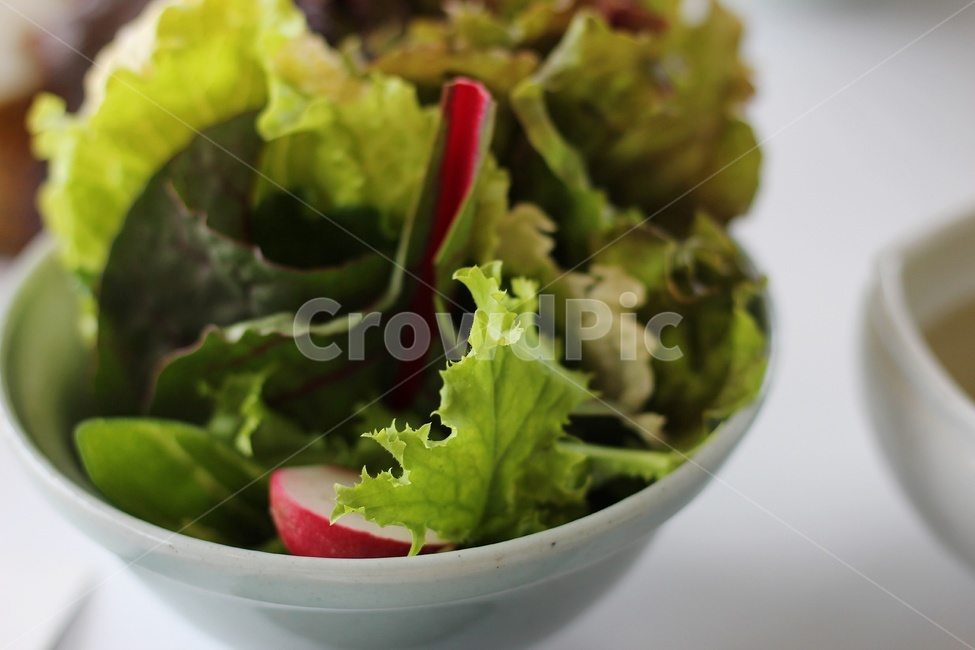 야채,채소,녹색,한식,상추,음식,식재료,요리,food,cook,meal,dishes,food reserves