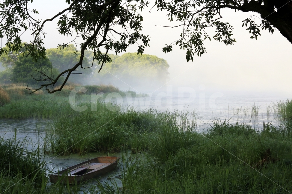우포늪,창녕우포늪,새벽,프로덕션명주,김명주,자연,풍경,nature,landscape,휴식,힐링,rest,relaxation,healing,transportation,교통,canoe,카누,vehicle,차량,rowboat,노 젓는 배,boat,보트,outdoors,옥외,weather,날씨