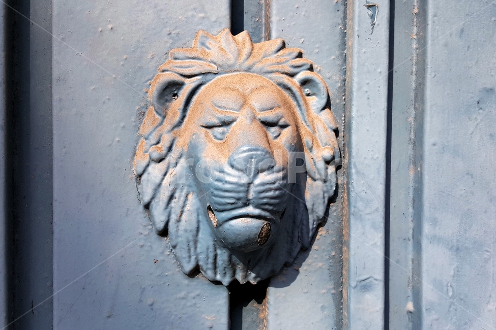 사자,장식,대문,낡음,lion,gate