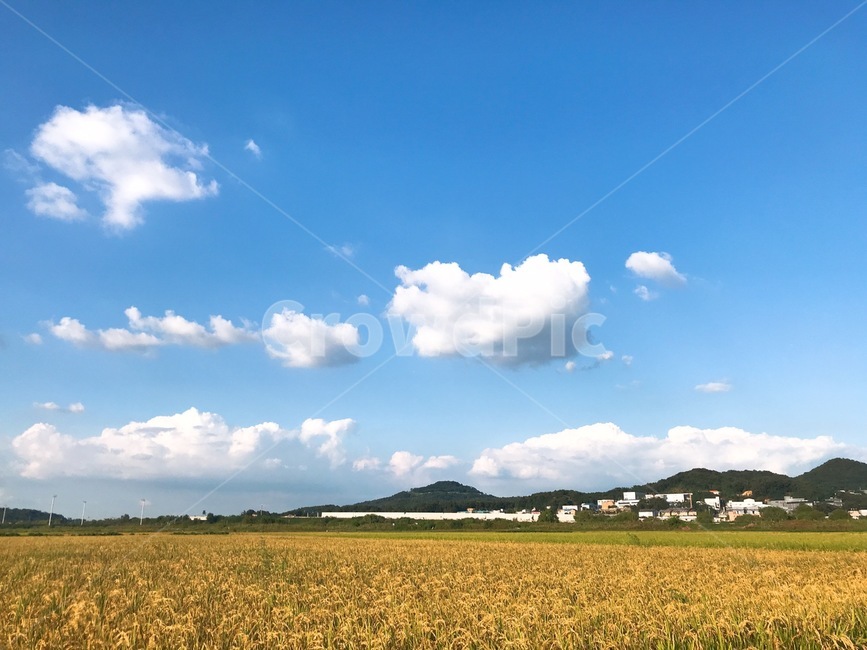 nature,자연,outdoors,옥외,field,목초지,grassland,들,하늘,구름,풍경
