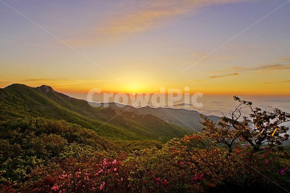 황매산,합천군,철쭉,풍경,산,자연,풍경,nature,landscape,outdoors,옥외