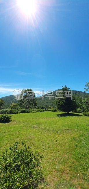 탁트인,파란,파랑,풍경,경치,landscape,옥외,outdoor,휴식,rest,relaxation,힐링,healing,감성,feeling,sensible,색채,색감,컬러풀,분위기,season,하늘,sky,풀,glass,자연,nature,sun,나무,tree,숲,forest,sunshine,맑음,푸른하늘,파란하늘,맑은하늘,초록,들판,도로,길,여름,산,mountain,계절,summer,쾌청,햇빛,눈부신,빛나는