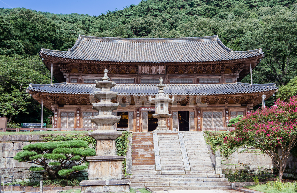 건축,풍경,구례,화엄사,기와,처마,한옥,고찰,절,불교,나무,숲,산,단청,전통,천년고찰,돌계단,계단,문화,유산,유물,유적,탑,석탑,돌탑,화강암,종교,목조,목조건물,architecture,건축물,building,건물,temple,한국전통,한국문화,korean traditional,korean culture,종교,신앙,religion,belief,faith,건축물,건물외관,exterior,building,structure,architecture,construction