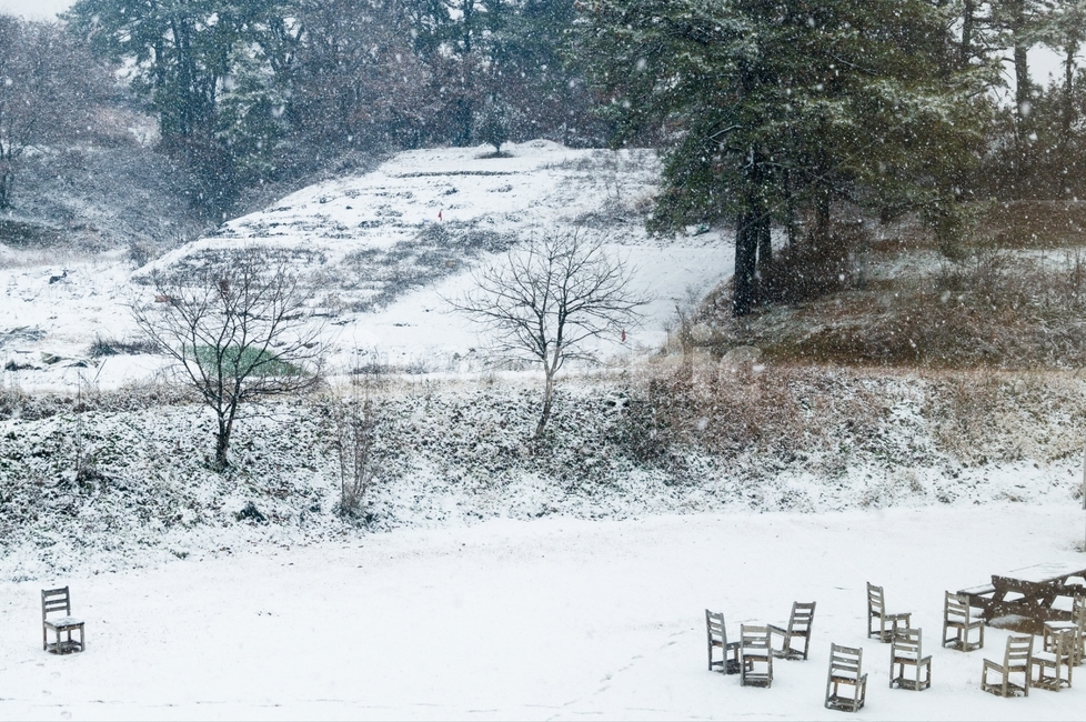 눈,의자,소외,자연,의미,겨울,계절,winter,season,자연,풍경,nature,landscape,outdoors,옥외,snow,blizzard,눈보라,storm,폭풍