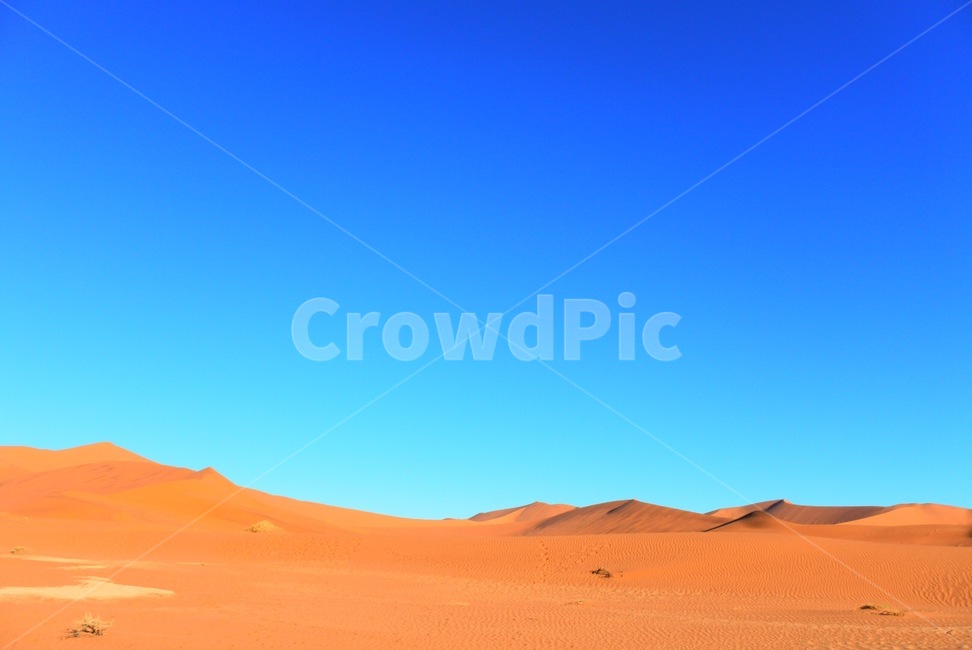 soil,흙,sand,모래,outdoors,옥외,nature,자연,dune,모래언덕,사막,사구,landscape