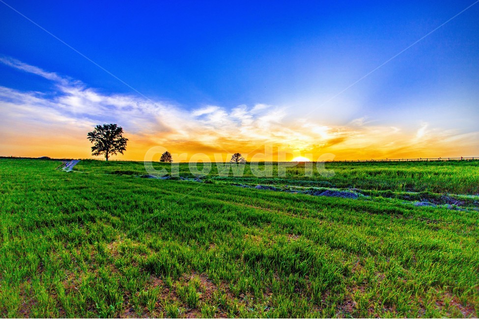 초원,자연,일몰,그린,힐링,바탕화면,에세이,그림,자연,풍경,nature,landscape,field,들,outdoors,옥외,grassland,목초지