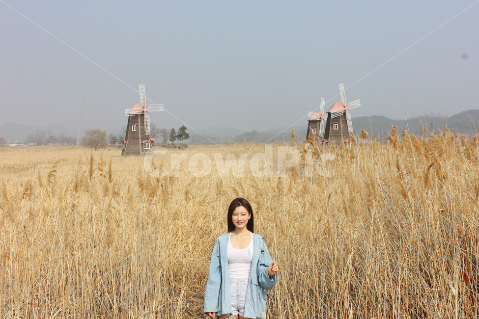 가을,가을여자,공원,여자,분위기,감성,가을,계절,fall,autumn,season,자연,풍경,nature,landscape,사람,인물,인간,human,person,여성,여자,woman,female,lady,감성,sensible,feeling,plant,식물,outdoors,옥외