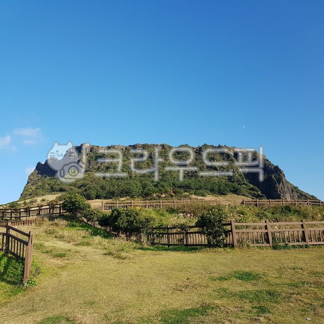 제주도,성산일출봉,제주성산일출봉,자연,목장,가을,목초지,제주관광지,관광명소,제주관광명소,해오름