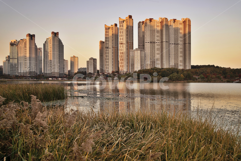 reflection,Reed,Gwanggyo Lake Park,Wonwon Reservoir,season,Yeongtong,Suwon city,autumn,lake,apartment