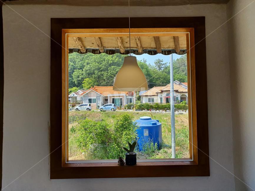 window,창문,여유,여름,창밖,풍경,식물,나무,summer,view,plant,cafe