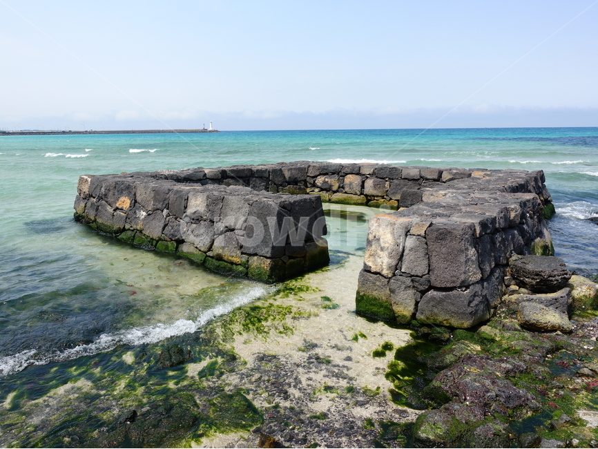 제주여행,국내여행,세화해변,풍경사진,바다,landscape,sea,제주해변,제주도,자연,풍경,nature,landscape,한국자연풍경,한국자연경관,korea nature landscape,제주도,jeju,jeju island,plant,식물