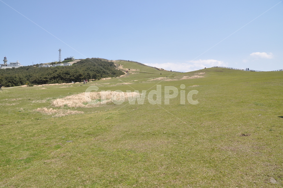 grassland,목초지,nature,자연,field,들