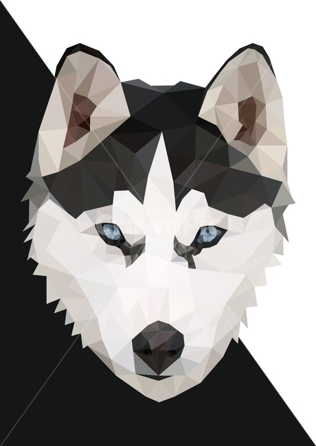 polygon art,A wolf,polygon,divided,Wolf illustration,illustration,fragmented,graphic,cracked