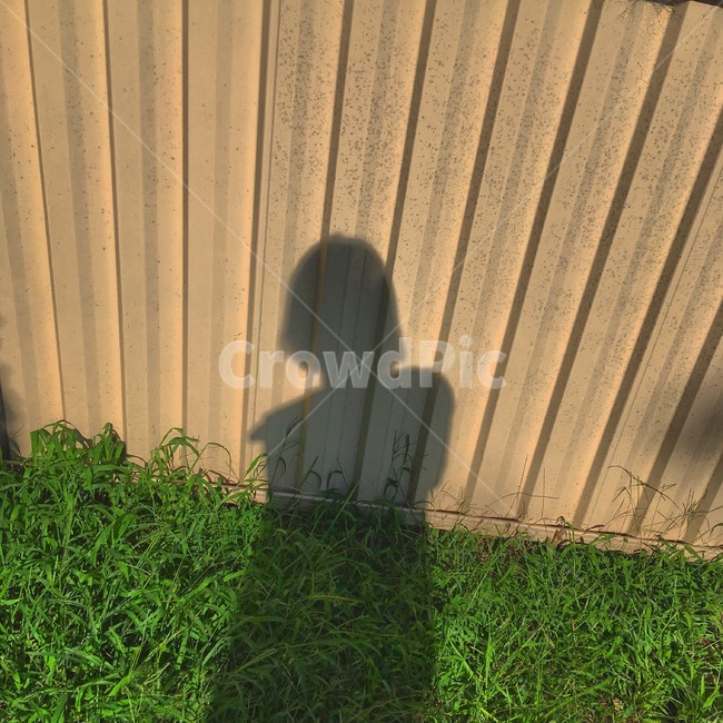 shadow,그림자,잔디,여행,풍경,휴일,grass,everydayzoe,사람,인물,인간,human,person,인물실루엣,사람실루엣,character silhouette,human silhouette,plant,식물,ground,바닥