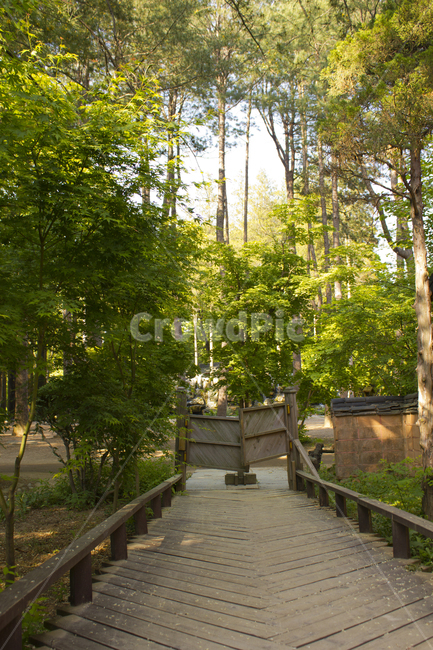 대한민국,한국,섬,나미나라,춘천,수풀,나무,자연,식물,숲,산림,조경,정원,공원,풀밭,숲속,야외,실외,녹색,그린,초록색,낮,남이섬,남이아일랜드,우드,우든,문,대문,도어,담,담장,데크,우드데크,나무데크,나무바닥,산책로,산책길,길,난간