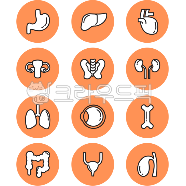 장기아이콘,장기일러스트,사람장기아이콘,인체장기아이콘,인체장기일러스트,위아이콘,간아이콘,심장아이콘,폐아이콘