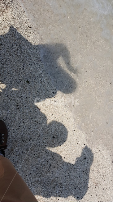 실루엣,그림자,해변,모래사장,여행
