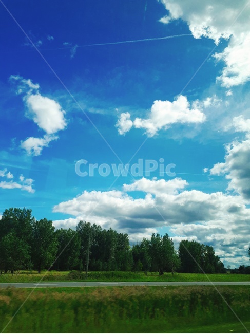 구름,하늘,cloud,sky,nature,날씨,weather,잔디,grass,자연,풍경,nature,landscape,outdoors,옥외,cumulus,적운,plant,식물