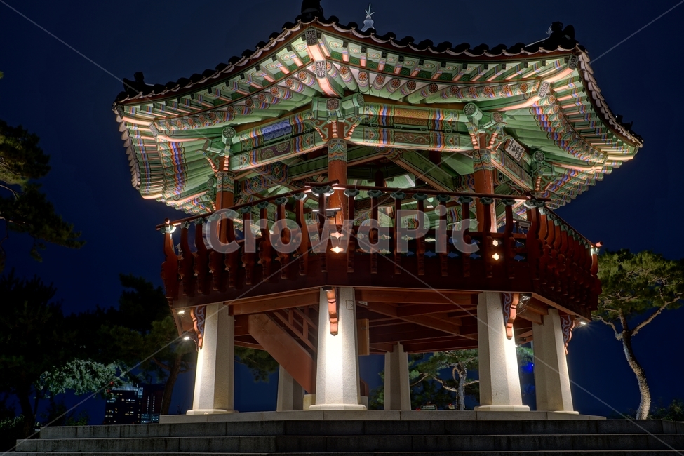 팔각정,정자,쉼터,야경,한국,서울,한국적인,korea,seoul,문화,전통,한국문화,한국전통,한옥,건축,건물,전통건축,전통건물,나무,식물,조명,밤하늘,풍경,landscape,nightview,nightscene,nightscape,한국전통,한국문화,korean traditional,korean culture