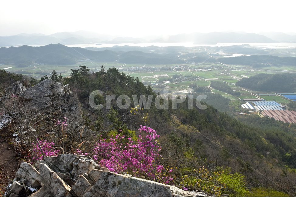 주작산,덕룡산,종주,진달래,풍경,기암,바위,비경,봄풍경,진달래꽃,강진,명산,산행,등산,마운틴,힐링,mountain,landscape,자연,natural,봄,계절,spring,season,자연,풍경,nature,landscape,한국자연풍경,한국자연경관,korea nature landscape,abies,아비,tree,나무,fir,전나무,plant,식물
