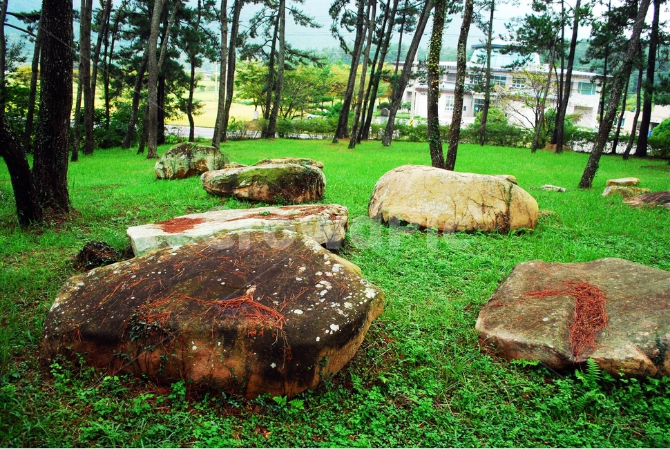 고인돌,고인돌무덤,유적지,역사현장,청동기,큰바위,자연,풍경,nature,landscape,한국자연풍경,한국자연경관,korea nature landscape,plant,식물,grass,잔디,ground,바닥