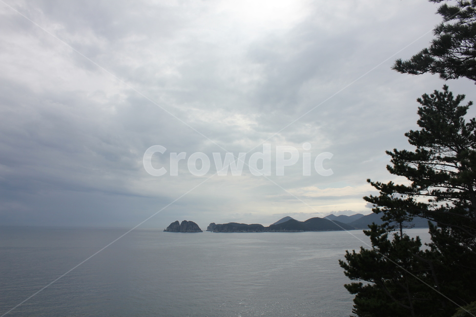 nature,자연,outdoors,옥외,shoreline,물,water,땅,land,해안선,ocean,대양,sea,바다,식물,plant,나무,tree,하늘,배경,빛,sky,자연,풍경,nature,landscape