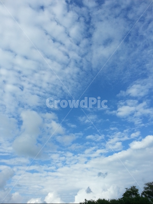 풍경,nature,자연,outdoors,옥외,하늘,sky,푸른하늘,azuresky,구름