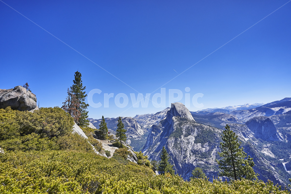 yosemite,요세미티,국립공원,나무,산,풍경,하늘,공원,전망,파노라마,힐링,휴식,자연,풍경,nature,landscape,해외,외국,세계,foreign,oversea,world,세계자연풍경,해외자연풍경,외국자연풍경,world nature landscape,tree,plant,식물,fir,전나무,abies,아비