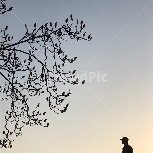 그림자,노을,감성,역광,남자