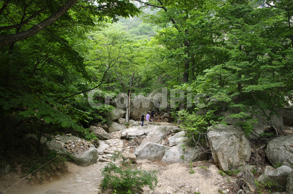 산,계곡,바위,암석,풍경,나무,자연,풍경,nature,landscape,사람들,대중,군중,other people,crowd,outdoors,옥외