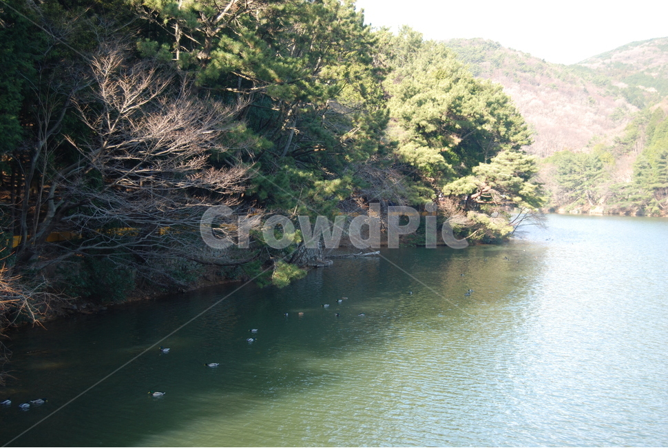 백양산,부산진구,자연,물,등산로,자연,풍경,nature,landscape,한국자연풍경,한국자연경관,korea nature landscape,water,outdoors,옥외