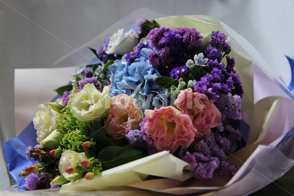 꽃,꽃다발,축하,abunchofflowers,floser,기념일,축하,anniversary,congratulation,celebrate,celebration