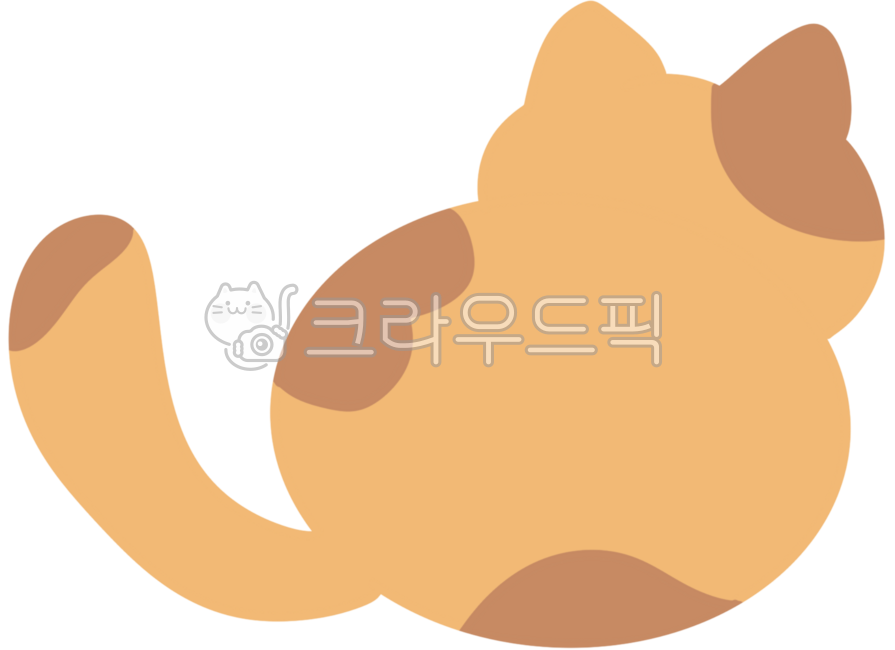 Cheese cat,cat,animal,cute,back,back view,pet cat