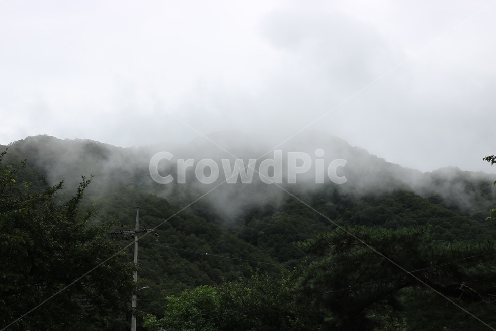 산,나무,안개,초록,흰색,mountain,tree,fog,green,white,yama,ki,kiri,midori,shiro,자연,풍경,자연,풍경,nature,landscape,weather,날씨,outdoors,옥외
