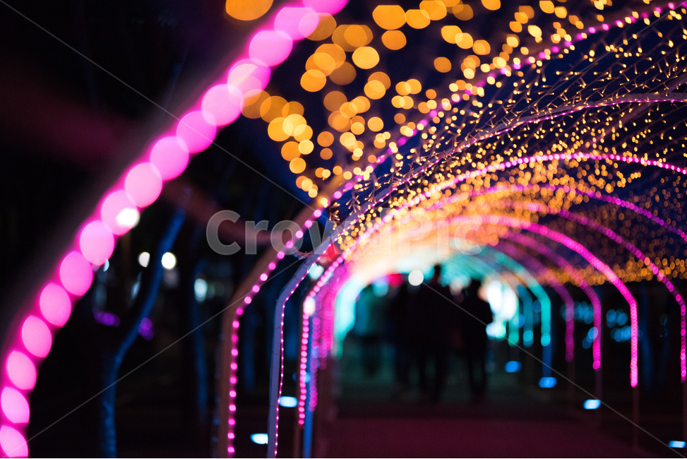 보케,감성,led,어둠,발랄,로멘틱,야경,밤,풍경,nightscape,night,landscape,축제,행사,festival,carnival,event,감성,sensible,feeling,색깔,색상,색채,색감,color sense,color sensitivity,feeling of color,lighting,조명,crowd,군중
