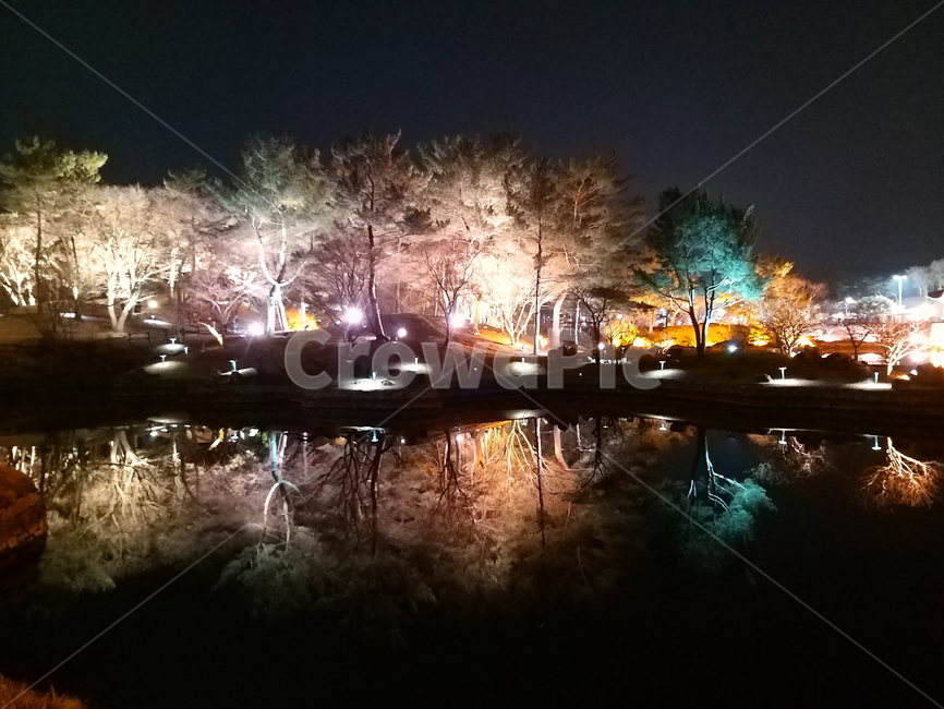 야경,자연,나무,연못,밤,빛,고요함,조용함,잔잔함,거울,호수,안압지야경,풍경,한국문화,한국명소,한국관광지,landscape,nightscape,night
