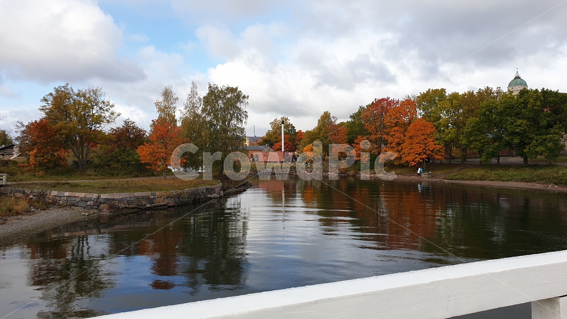 water,물,outdoors,옥외,plant,식물,tree,나무,nature,자연,호수,평화,peaceful,lake