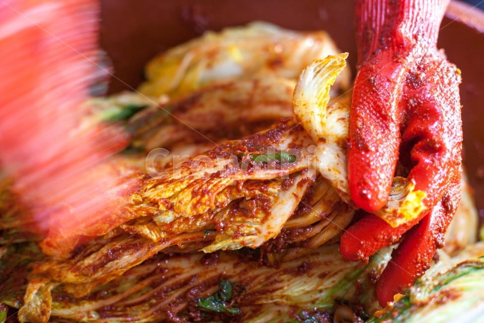 김장,김장김치,반찬,김치,김장문화,품앗이,11월,김장철,배추,배추김치,양념,한국문화,고추가루,김치재료,한국전통,음식,식재료,요리,foodcook,채소,야채,한식,한국음식,한국요리,koreanfood,sidedish,겨울반찬,수육,돼지고기,고기수육,별미,음식,식재료,요리,food,cook,meal,dishes,food reserves,채소,야채,vegetables,한식,한국음식,한국요리,korean food,korean dishes,korean meal,korean cook