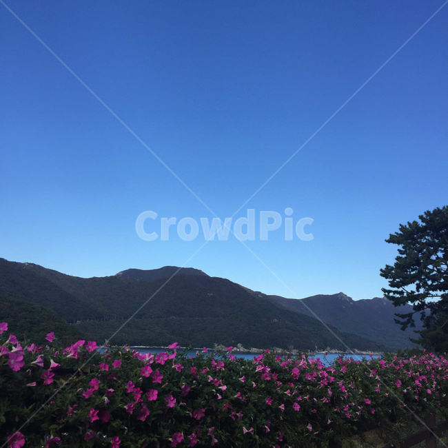 산,꽃,바다,맑은하늘,파란
