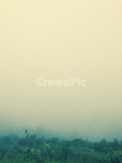 미시령,안개,산,속초,강원도,파란색,자연,풍경,nature,landscape,weather,날씨,outdoors,옥외