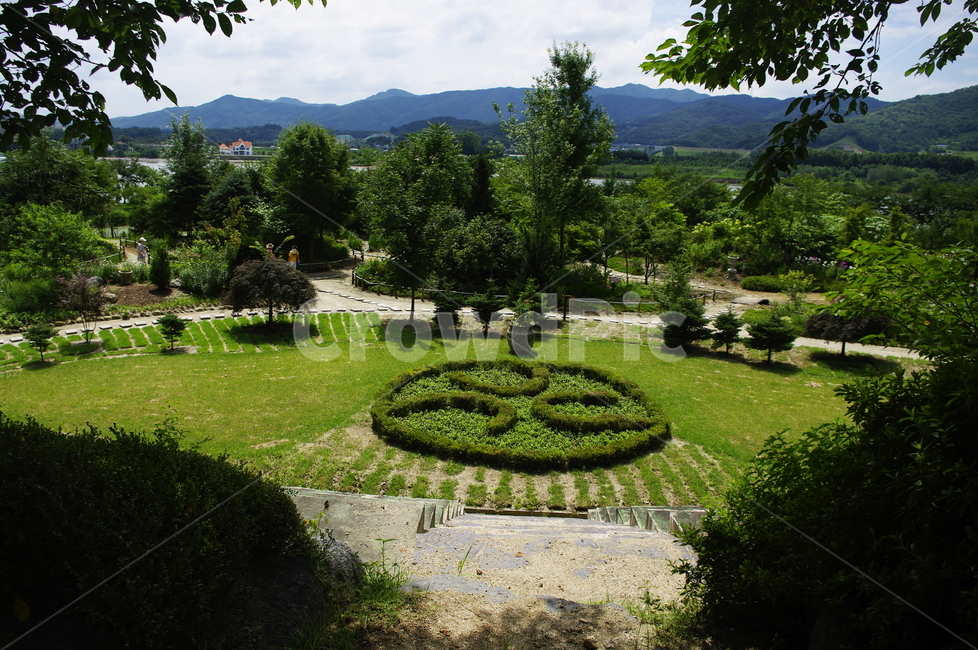 들꽃수목원,식물원,정원,조경,초록,나무,식물,plant,자연,nature
