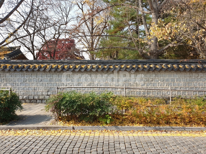 계절,봄,가을,겨울,여름,노랑,풀,숲,돌담,돌,담,길,전통,한옥,한국,우리나라,풍경,나무